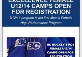 BC hockey female u12u14